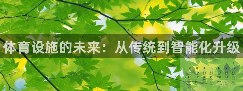 意昂4集团E.ON：体育设施的未来：从传统到智能化升