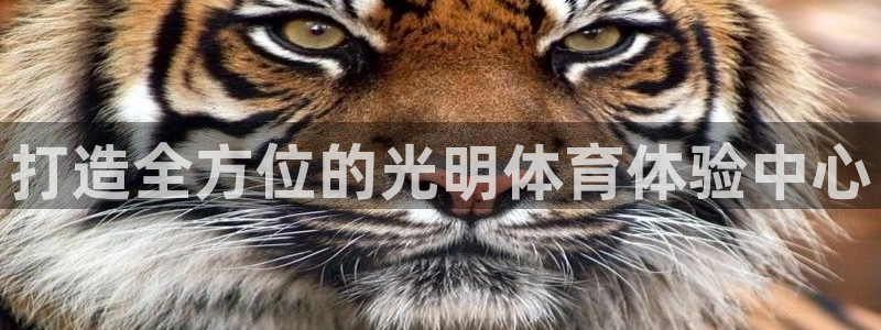 意昂体育4招商电话号码查询：打造全方位的光明体育体验中心 