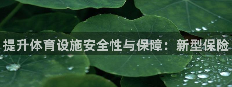 意昂体育4招商电话是多少号码：提升体育设施安全性与保障：新型