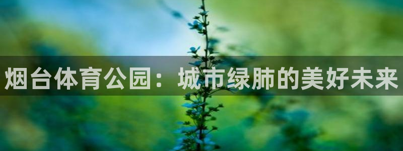 意昂4官网：烟台体育公园：城市绿肺的美好未来