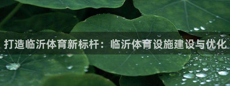 意昂体育4：打造临沂体育新标杆：临沂体育设施建设与优