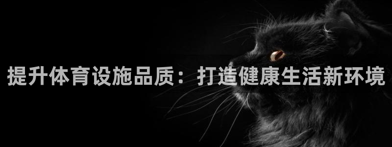 意昂4集团官网首页：提升体育设施品质：打造健康生活新