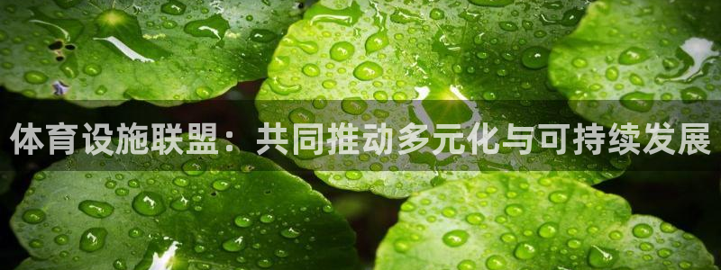 意昂体育4平台假的吗是真的吗：体育设施联盟：共同推动