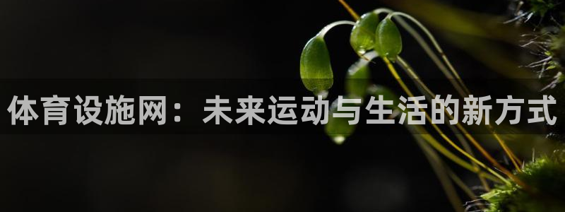 意昂体育4平台是正规平台吗知乎