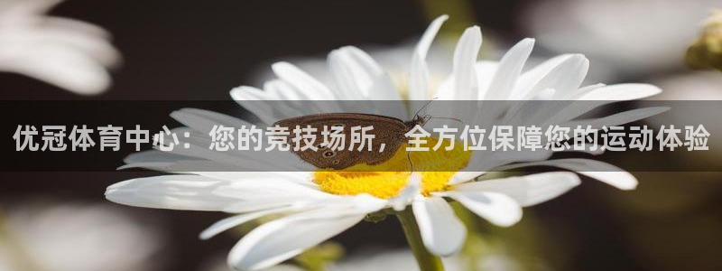 意昂4新能源