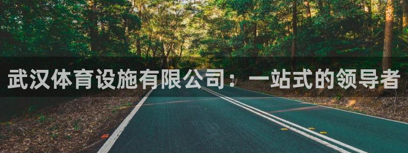 意昂4娱乐首页官网下载：武汉体育设施有限公司：一站式