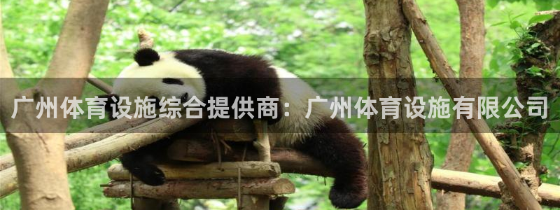 意昂体育4平台APP：广州体育设施综合提供商：广州体