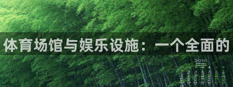 意昂4娱乐代理怎么样：体育场馆与娱乐设施：一个全面的