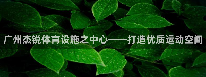 意昂体育4招商电话号码是多少啊：广州杰锐体育设施之中