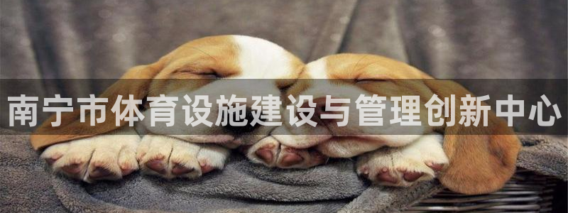意昂4集团：南宁市体育设施建设与管理创新中心