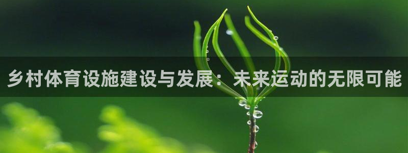 意昂4集团E.ON：乡村体育设施建设与发展：未来运动