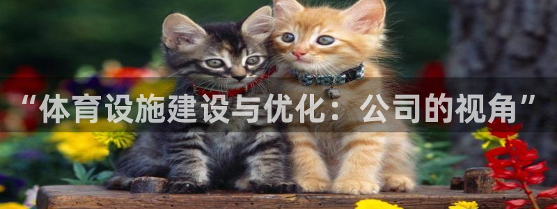 意昂4五金厂：“体育设施建设与优化：公司的视角”