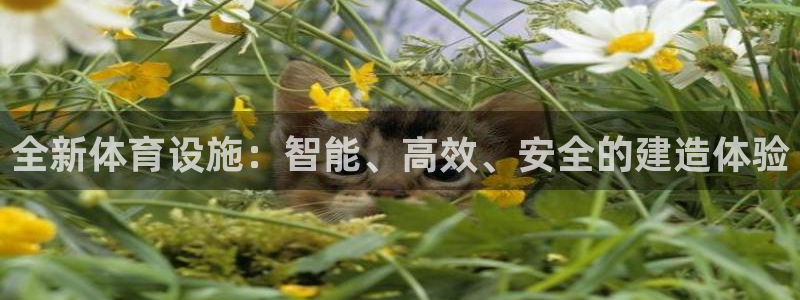 意昂体育4招商电话是多少啊：全新体育设施：智能、高效