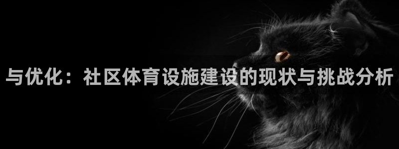 意昂体育4招商电话号码是多少啊：与优化：社区体育设施