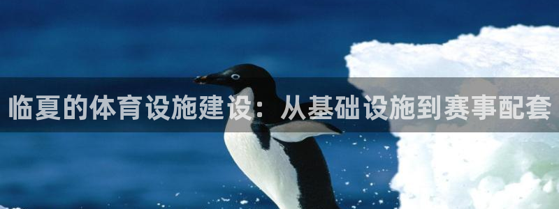 意昂体育4开户：临夏的体育设施建设：从基础设施到赛事