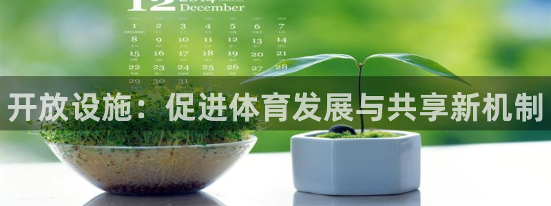 意昂4五金厂：开放设施：促进体育发展与共享新机制