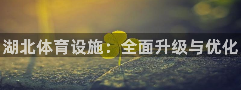 意昂体育4招商：湖北体育设施：全面升级与优化