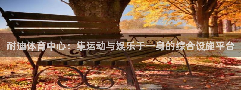 意昂4新能源：耐迪体育中心：集运动与娱乐于一身的综合