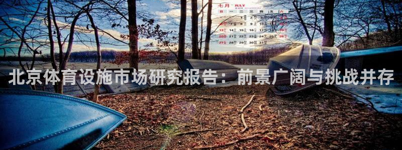 意昂4神州：北京体育设施市场研究报告：前景广阔与挑战