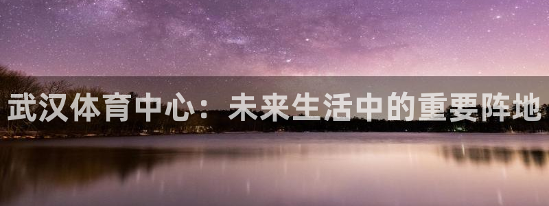 意昂4娱乐网站：武汉体育中心：未来生活中的重要阵地