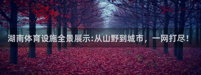 意昂体育4招商电话地址查询：湖南体育设施全景展示:从