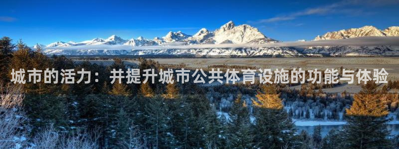 意昂体育4招商：城市的活力：并提升城市公共体育设施的