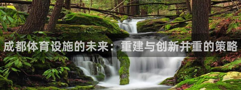 意昂体育4平台注册要钱吗安全吗：成都体育设施的未来：重建与创