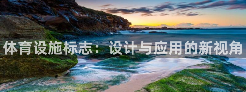 意昂体育4招商电话：体育设施标志：设计与应用的新视角