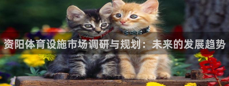 意昂体育4招商电话号码：资阳体育设施市场调研与规划：未来的发