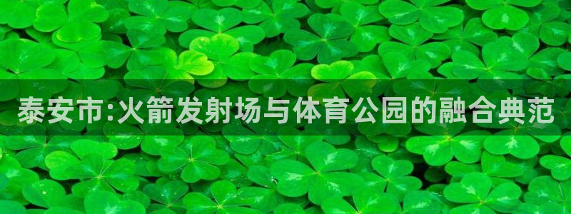 意昂体育4招商电话地址查询：泰安市:火箭发射场与体育公园的融 