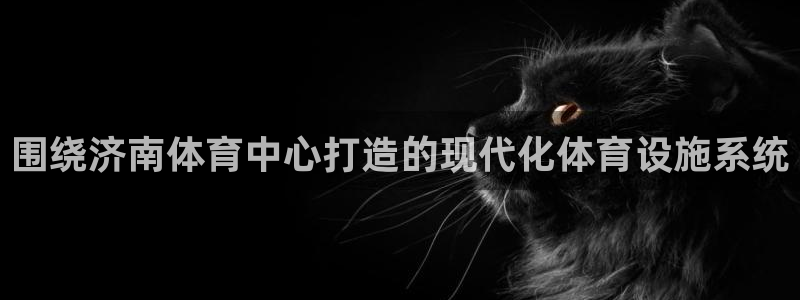 海南意昂体育4：围绕济南体育中心打造的现代化体育设施系统 