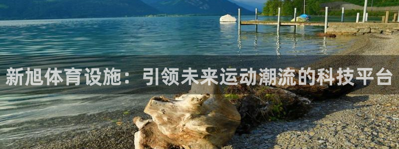 意昂体育4招商：新旭体育设施：引领未来运动潮流的科技平台