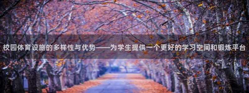 意昂4新能源：校园体育设施的多样性与优势——为学生提供一个更 