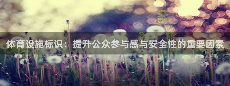 意昂4集团：体育设施标识：提升公众参与感与安全性的重要因素