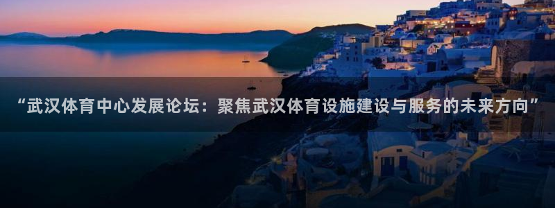 意昂体育4平台注册要钱吗安全吗：“武汉体育中心发展论坛：聚焦