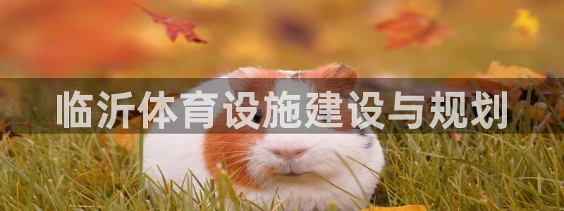 意昂4集团官网首页：临沂体育设施建设与规划