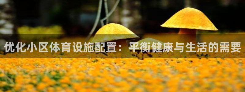 意昂4集团官网首页网址：优化小区体育设施配置：平衡健康与生活