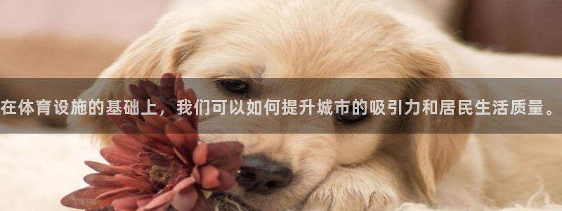 意昂体育4平台：在体育设施的基础上，我们可以如何提升城市的吸 