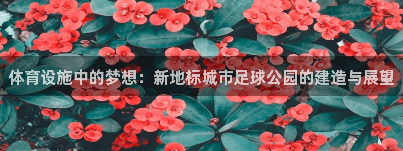 意昂4代理：体育设施中的梦想：新地标城市足球公园的建造与展望 