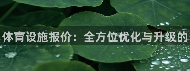 意昂体育4招商电话地址：体育设施报价：全方位优化与升级的 
